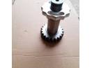 Pinion cositoare Krone
